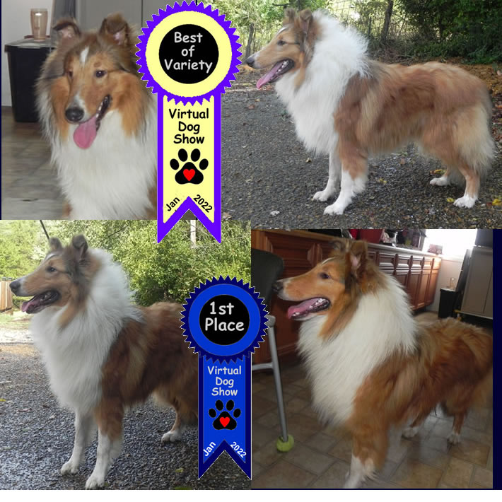 Classic Kennels Show Brags Classic Kennels